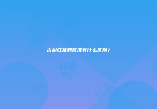 古树红茶和普洱有什么区别？
