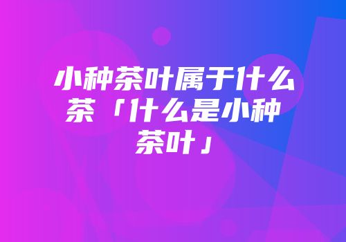 小种茶叶属于什么茶「什么是小种茶叶」
