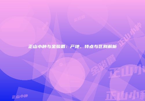 正山小种与金骏眉：产地、特点与区别解析