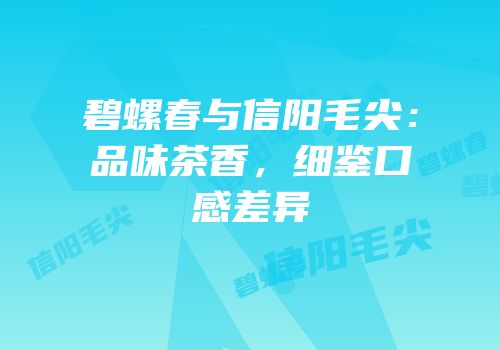 碧螺春与信阳毛尖：品味茶香，细鉴口感差异