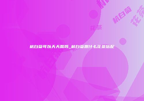 杭白菊可以天天喝吗_杭白菊跟什么花茶搭配