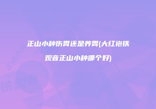 正山小种伤胃还是养胃(大红袍铁观音正山小种哪个好)