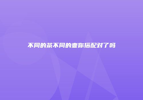 不同的茶不同的壶你搭配对了吗