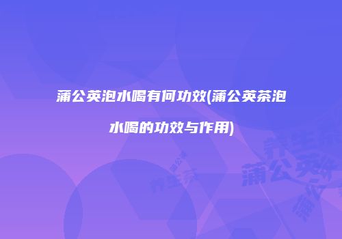 蒲公英泡水喝有何功效(蒲公英茶泡水喝的功效与作用)