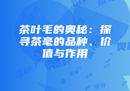 茶叶毛的奥秘：探寻茶毫的品种、价值与作用