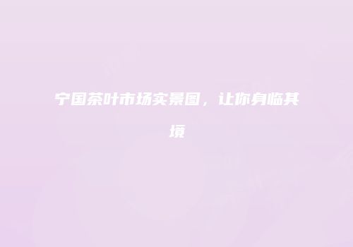 宁国茶叶市场实景图，让你身临其境