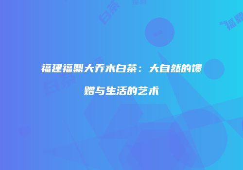 福建福鼎大乔木白茶：大自然的馈赠与生活的艺术