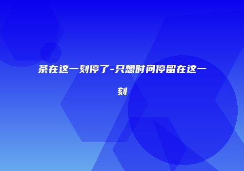 茶在这一刻停了-只想时间停留在这一刻