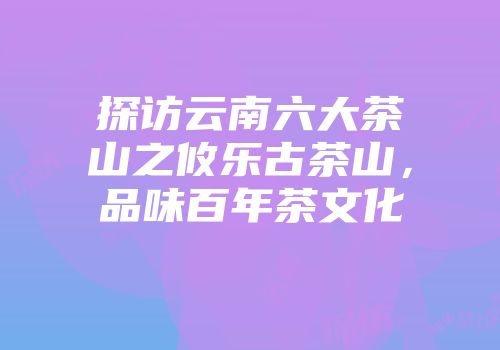 探访云南六大茶山之攸乐古茶山，品味百年茶文化