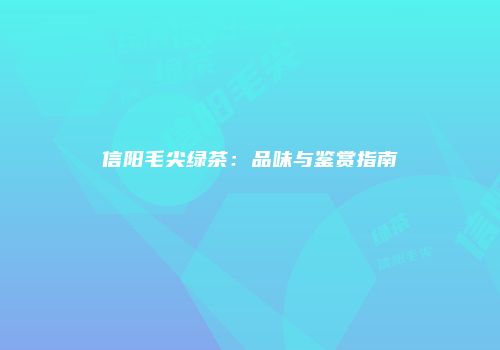 信阳毛尖绿茶：品味与鉴赏指南