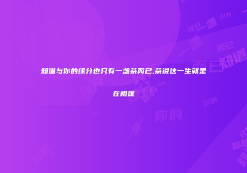 知道与你的缘分也只有一盏茶而已,茶说这一生就是在相逢