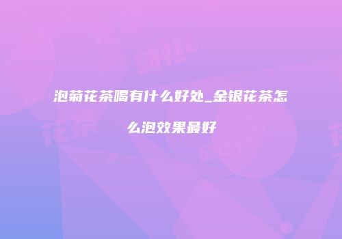 泡菊花茶喝有什么好处_金银花茶怎么泡效果最好