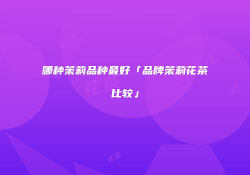 哪种茉莉品种最好「品牌茉莉花茶比较」