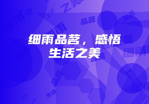 细雨品茗，感悟生活之美