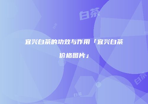 宜兴白茶的功效与作用「宜兴白茶价格图片」