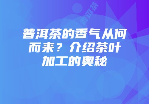 普洱茶的香气从何而来？介绍茶叶加工的奥秘