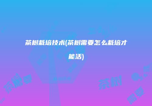 茶树栽培技术(茶树需要怎么栽培才能活)
