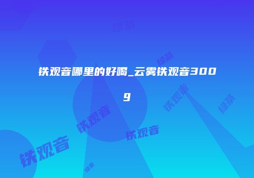 铁观音哪里的好喝_云雾铁观音300g