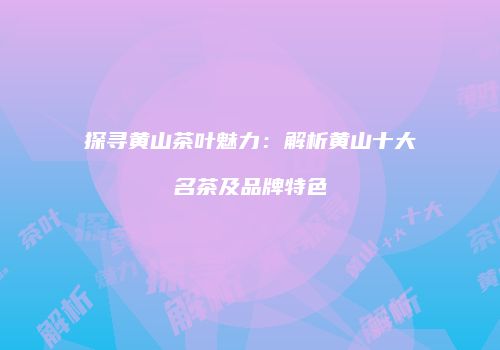 探寻黄山茶叶魅力：解析黄山十大名茶及品牌特色