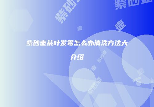 紫砂壶茶叶发霉怎么办清洗方法大介绍