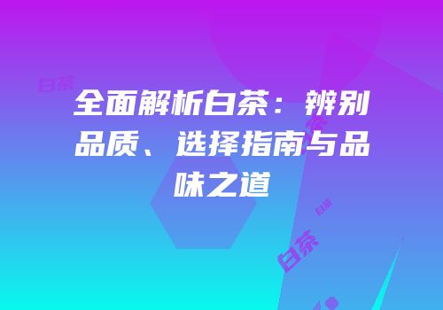 全面解析白茶：辨别品质、选择指南与品味之道