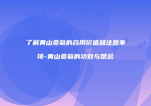 了解黄山贡菊的药用价值和注意事项-黄山贡菊的功效与禁忌