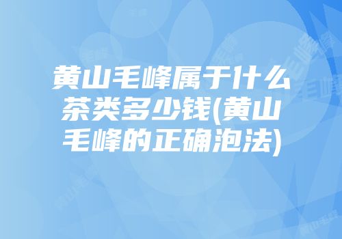 黄山毛峰属于什么茶类多少钱(黄山毛峰的正确泡法)