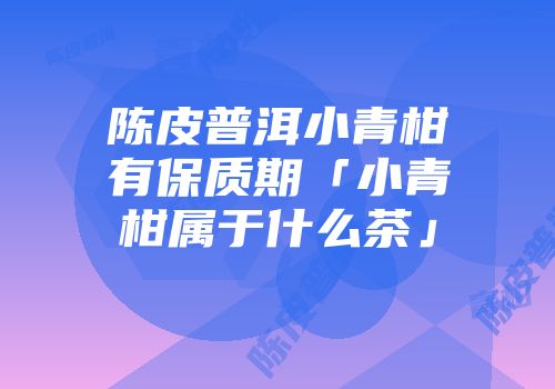 陈皮普洱小青柑有保质期「小青柑属于什么茶」