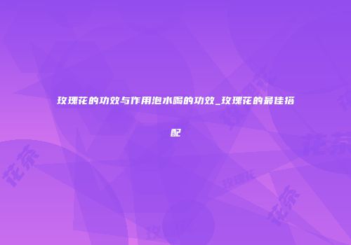 玫瑰花的功效与作用泡水喝的功效_玫瑰花的最佳搭配
