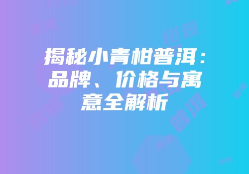 揭秘小青柑普洱：品牌、价格与寓意全解析
