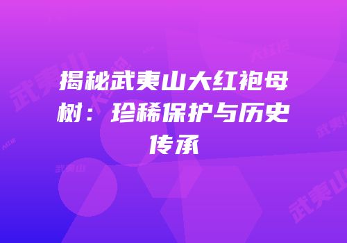 揭秘武夷山大红袍母树：珍稀保护与历史传承