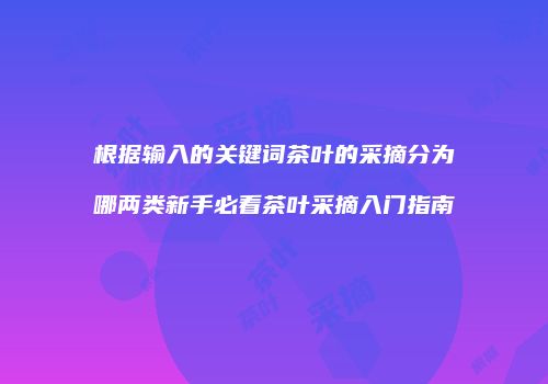 根据输入的关键词茶叶的采摘分为哪两类新手必看茶叶采摘入门指南