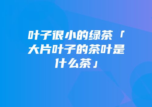叶子很小的绿茶「大片叶子的茶叶是什么茶」