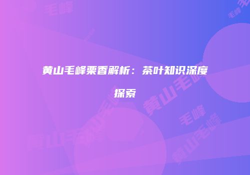 黄山毛峰栗香解析：茶叶知识深度探索