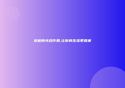 茶树的光合作用,让你的生活更健康