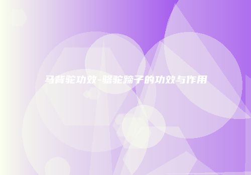 马背驼功效-骆驼蹄子的功效与作用