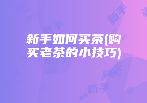 新手如何买茶(购买老茶的小技巧)