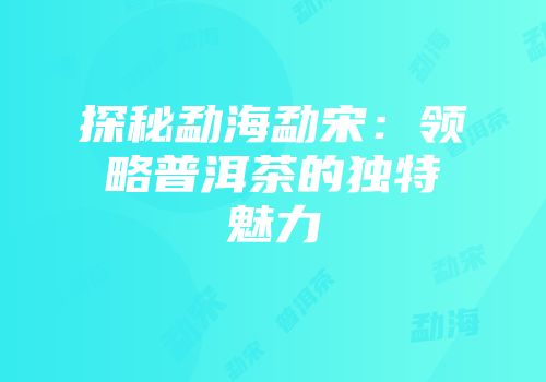 探秘勐海勐宋：领略普洱茶的独特魅力