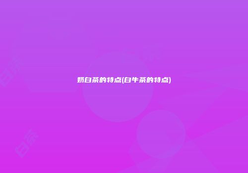 奶白茶的特点(白牛茶的特点)