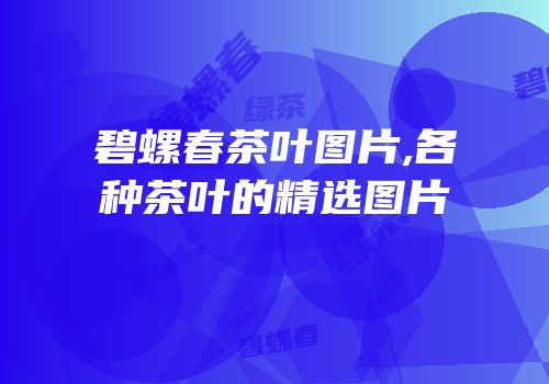 碧螺春茶叶图片,各种茶叶的精选图片