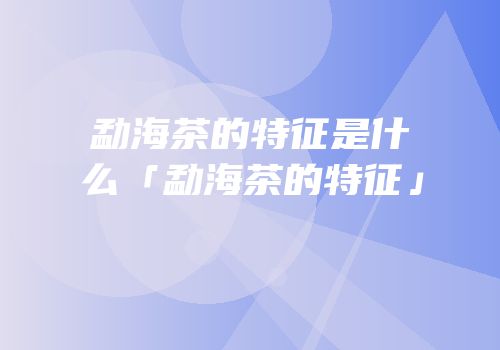 勐海茶的特征是什么「勐海茶的特征」