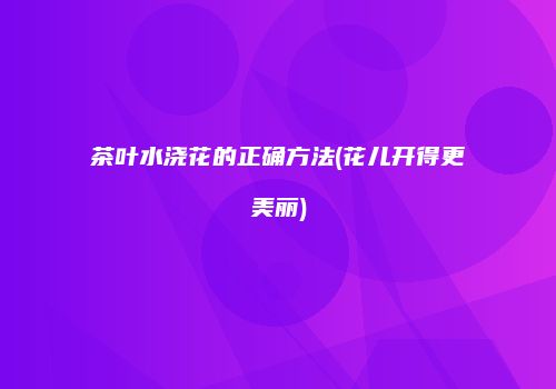 茶叶水浇花的正确方法(花儿开得更美丽)