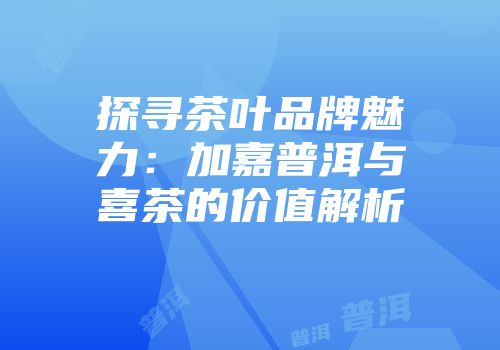 探寻茶叶品牌魅力：加嘉普洱与喜茶的价值解析