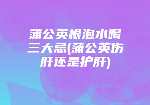 蒲公英根泡水喝三大忌(蒲公英伤肝还是护肝)