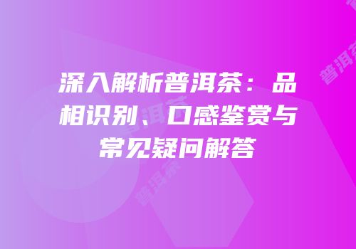 深入解析普洱茶：品相识别、口感鉴赏与常见疑问解答
