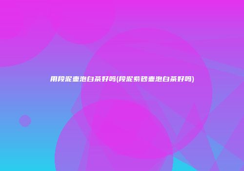 用段泥壶泡白茶好吗(段泥紫砂壶泡白茶好吗)