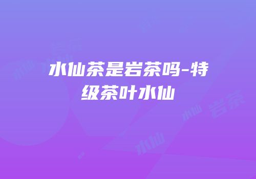 水仙茶是岩茶吗-特级茶叶水仙