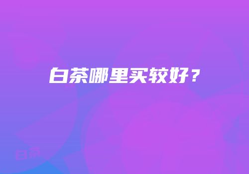 白茶哪里买较好？