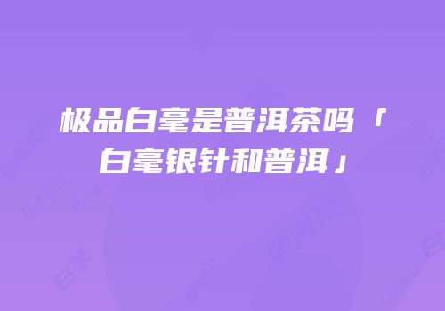 极品白毫是普洱茶吗「白毫银针和普洱」