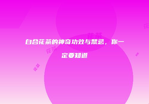 白合花茶的神奇功效与禁忌，你一定要知道
